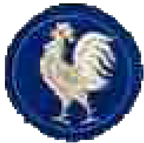 coq argent 1250